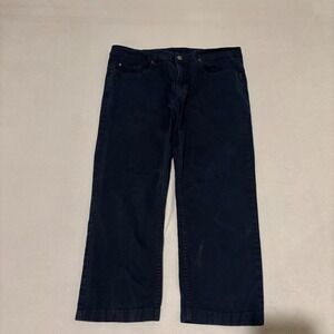 Buffalo David Bitton Sam Mens Navy Blue Stretch Cotton Twill Pants 36x30